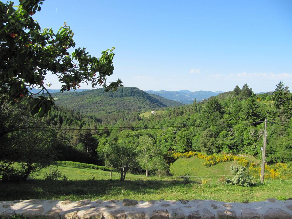Le Petit Rias Gite Soleil Saint Maurice en Chalencon ภายนอก รูปภาพ
