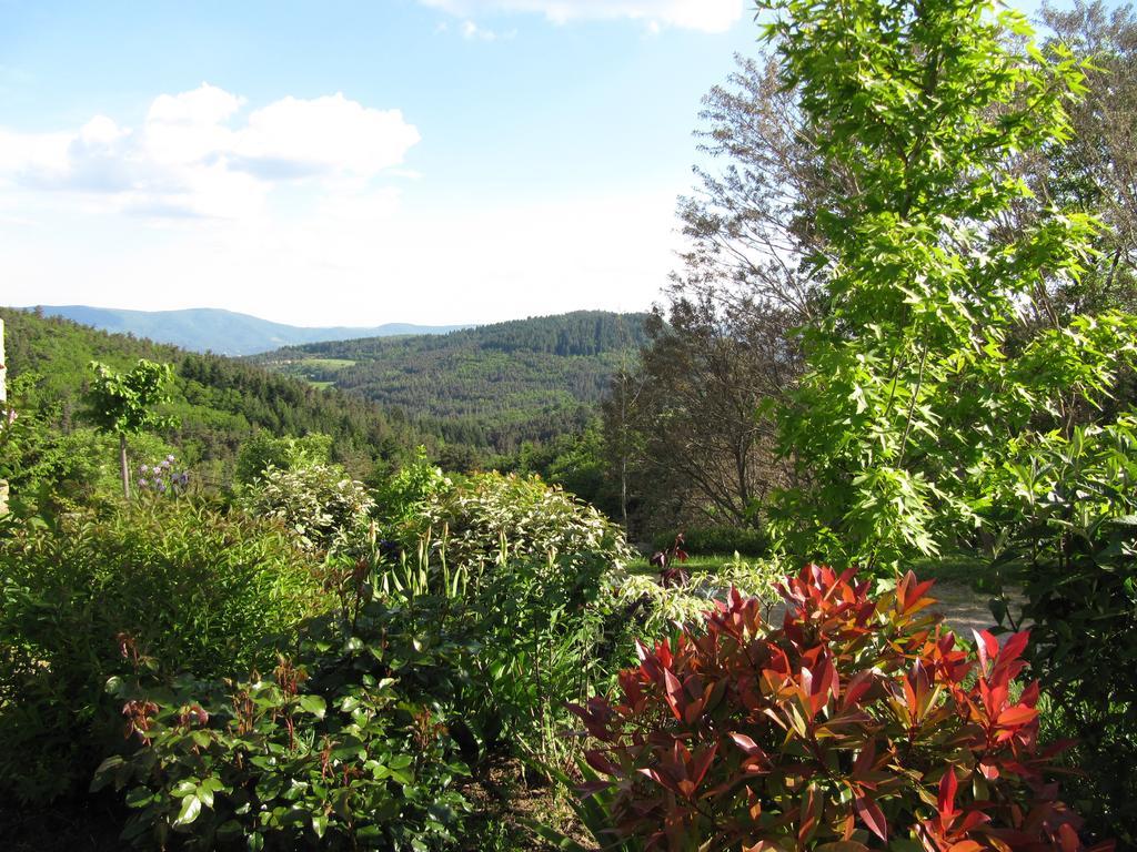 Le Petit Rias Gite Soleil Saint Maurice en Chalencon ภายนอก รูปภาพ