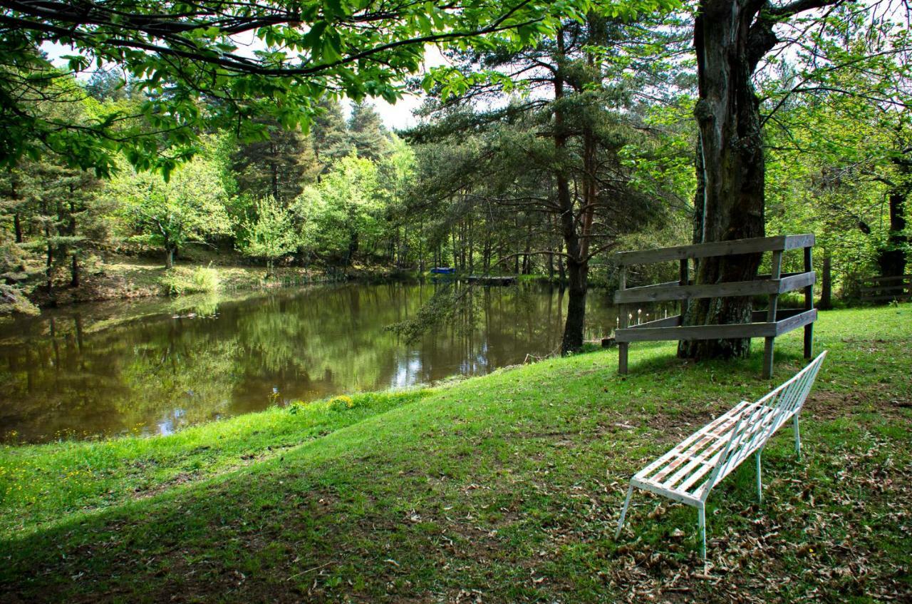 Le Petit Rias Gite Soleil Saint Maurice en Chalencon ภายนอก รูปภาพ