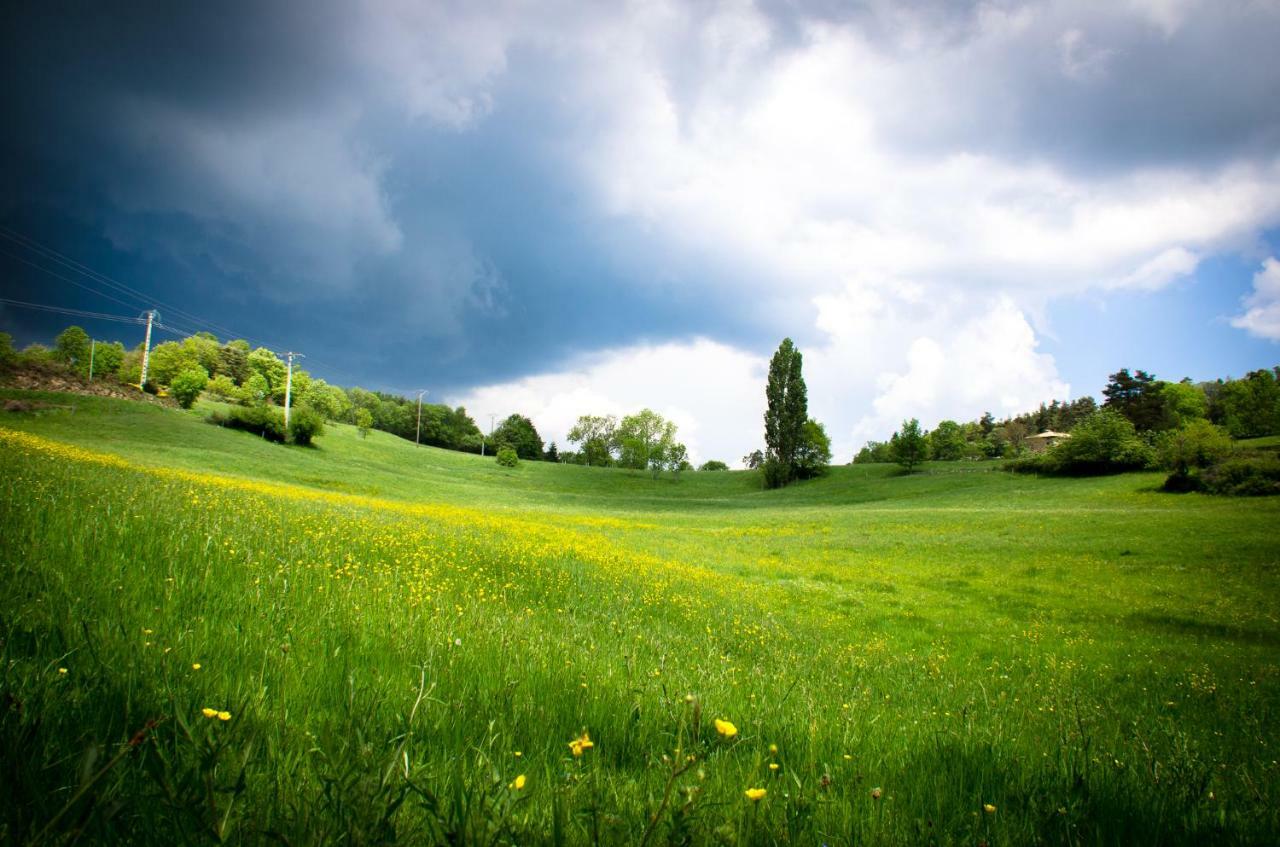 Le Petit Rias Gite Soleil Saint Maurice en Chalencon ภายนอก รูปภาพ